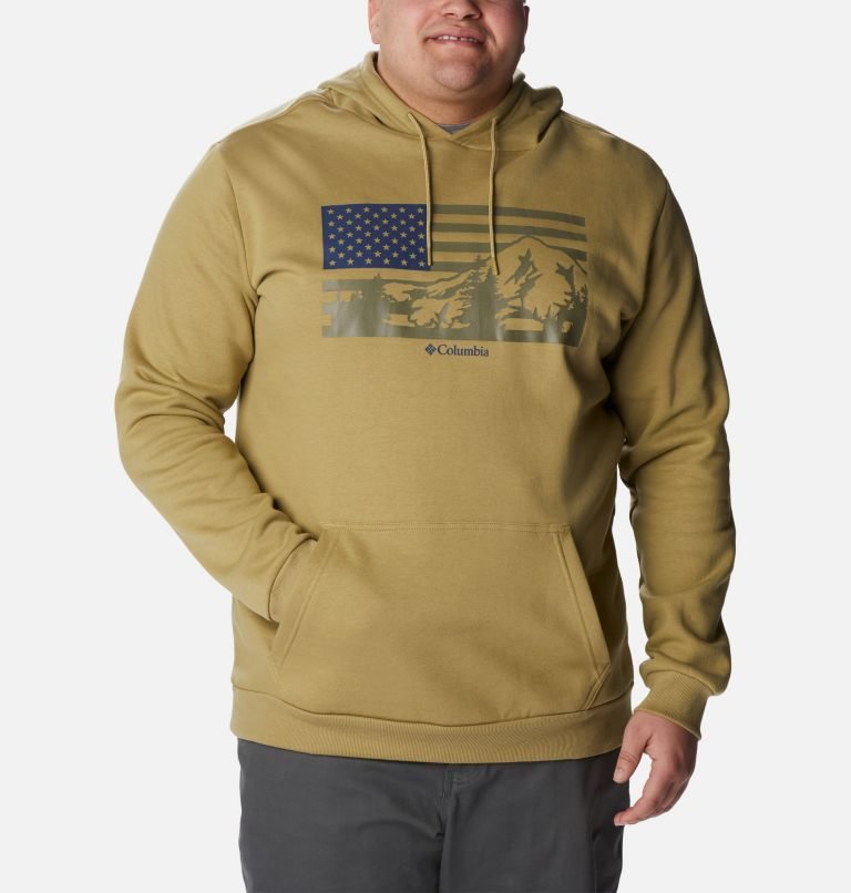 Men's Columbia CSC Country Logo Hoodie Olive | Plus Size CA-W4CL5